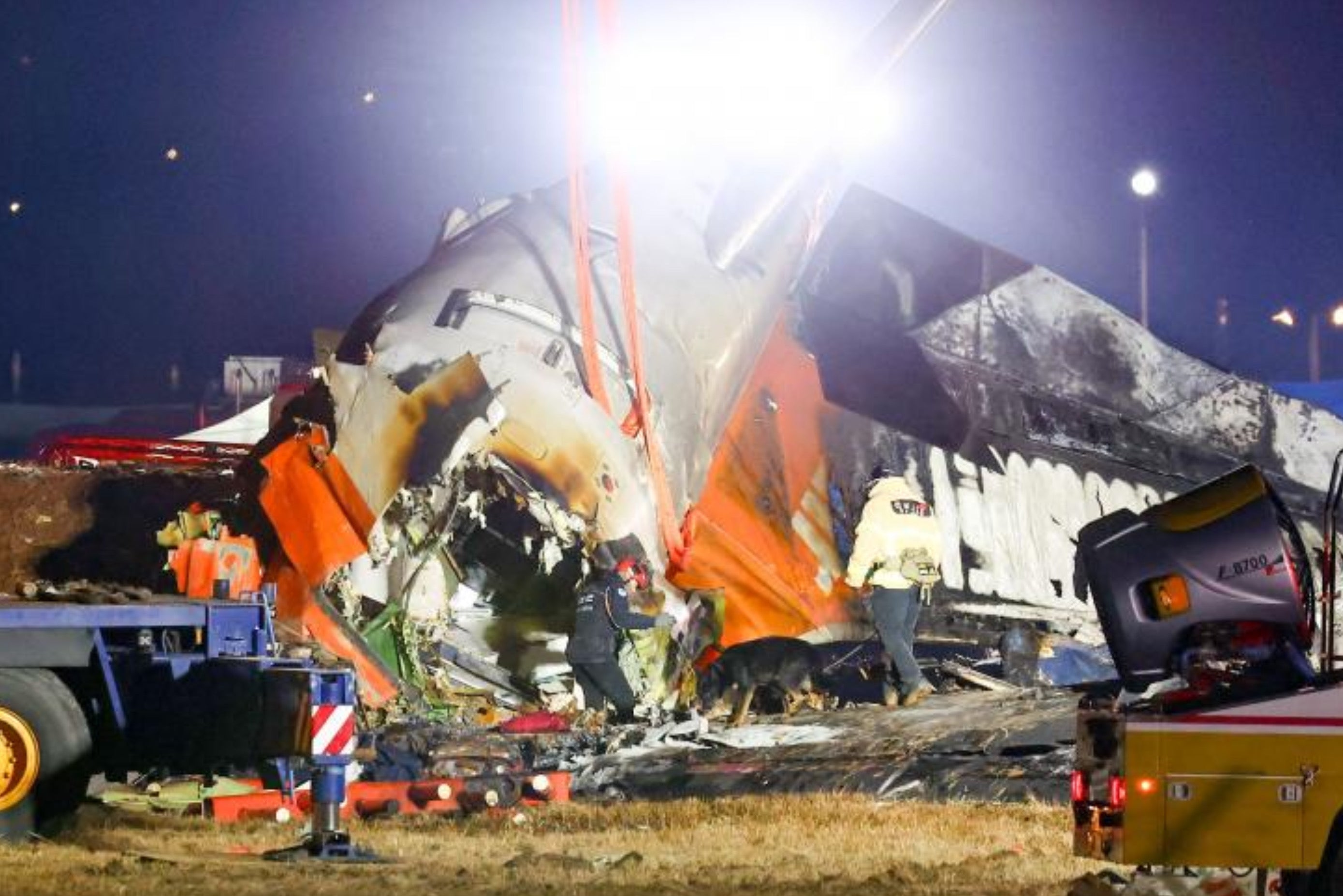 Plane crash in South Korea kills 179: what we know about the circumstances of the tragedy