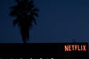 Netflix acquires its first video game studio