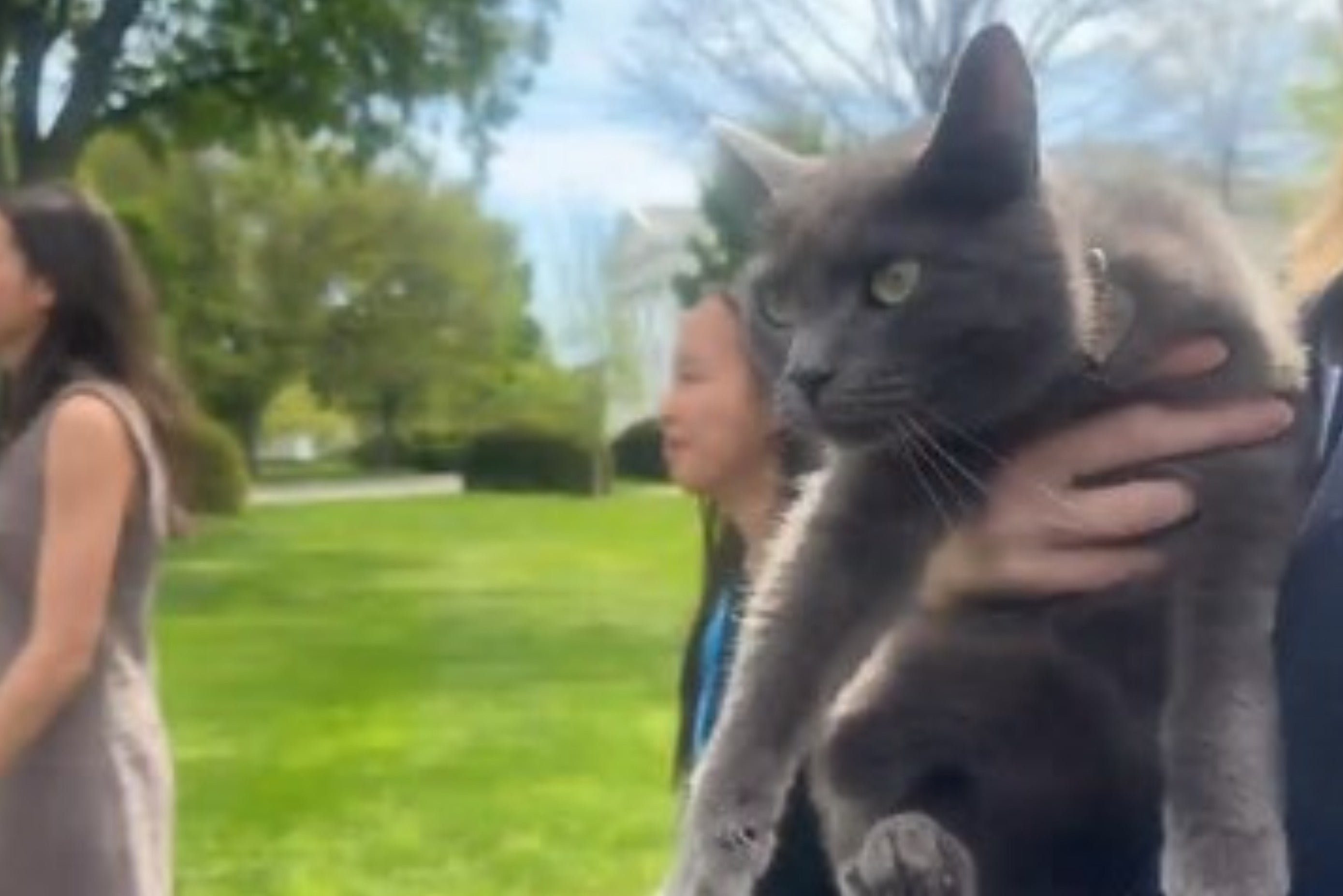 An intruder in the White House: Sophie managed to sneak into one of the most secure places in the world