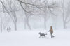 US and Canada hit by winter storm, thousands of flights cancelled