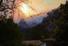 California fires: a thirtieth victim of the Los Angeles fires discovered