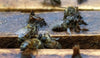 Canada limits, but does not ban, neonicotinoid pesticides